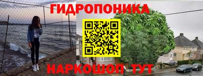 шишки Краснокаменск