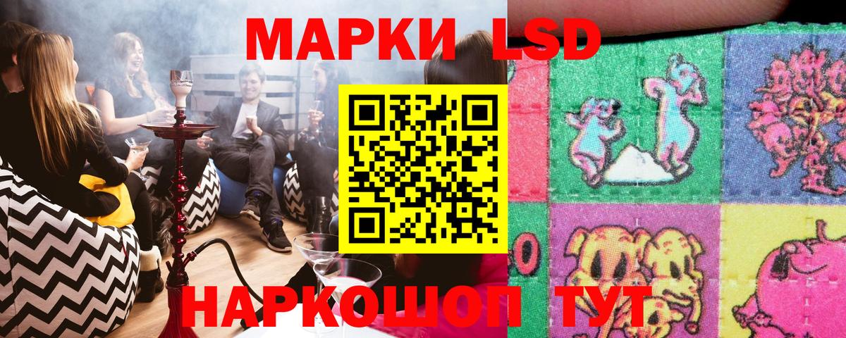 Каменка  Наркотические марки 1,8мг  Наркотические марки  Вход с VPN  Наркотические марки 1,8мг 