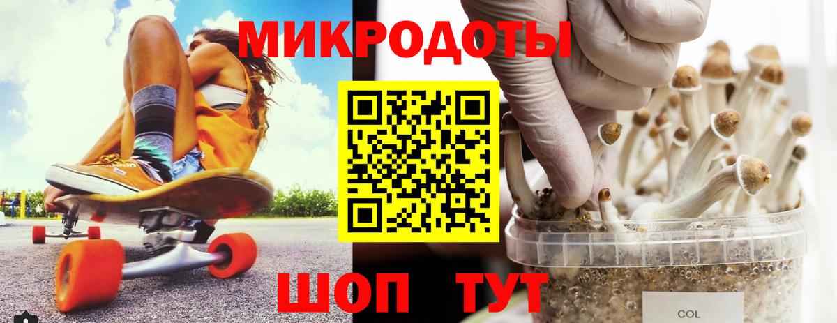 Каменка  где купить наркотик  Псилоцибиновые грибы MAGIC MUSHROOMS  Вход с VPN  Псилоцибиновые грибы Psilocybine cubensis 