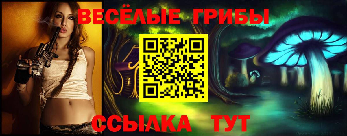 Галлюциногенные грибы ЛСД Каменка