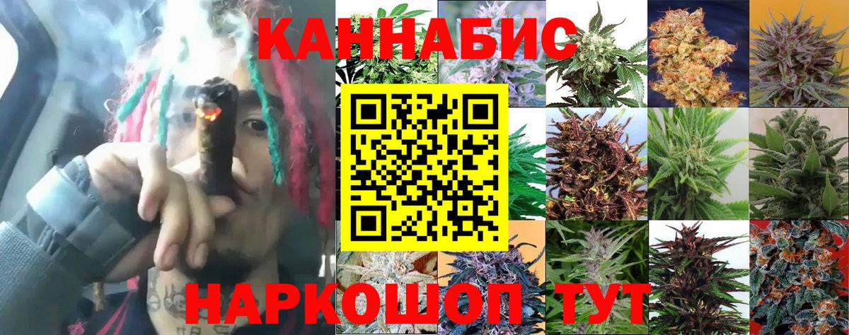Бошки марихуана OG Kush Каменка